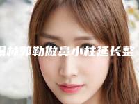 锡林郭勒做鼻小柱延长整形手术会不会有风险