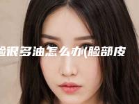 脸很多油怎么办(脸部皮肤多油怎么办)