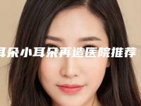 耳朵小耳朵再造医院推荐：耳朵小耳朵再造医院30强全面覆盖