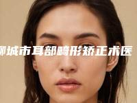 聊城市耳部畸形矫正术医院口碑排名前十佳快速收藏-聊城德尔美客医疗美容诊所医疗中心领衔前三名