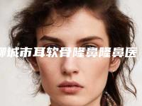 聊城市耳软骨隆鼻隆鼻医院排行榜top10哪家效果好（临清铭昊医疗美容诊所重点推荐）