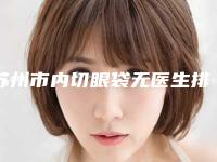苏州市内切眼袋无医生排行榜前十名好评盘点-吴静医生为您增添保障