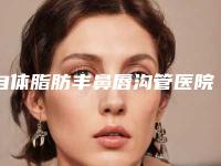 自体脂肪丰鼻唇沟管医院排名榜前十口碑实力名单！昆明丽都医疗美容医院这十家评价高