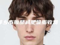萍乡市腹部减肥吸脂收费标准热门新版一览(腹部减肥吸脂均价为：21080元)