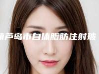 葫芦岛市自体脂肪注射玻尿酸美容价格表(费用)2025版分享(近6个月均价为：6237元)