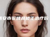 西安市驼峰鼻矫正治疗价格价位表计算-西京医院整形科多少费用