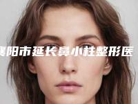 襄阳市延长鼻小柱整形医院前十排名榜实力盘点-襄阳市延长鼻小柱整形医院