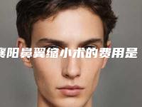 襄阳鼻翼缩小术的费用是怎样的(襄阳鼻翼缩小术手术的价格)