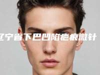 辽宁省下巴凹陷疤痕微针整形医生哪个实力赞-曹丕君医生2025价格表清单透明