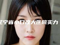 辽宁省小口改大医院实力解读（辽宁省小口改大整形医院）