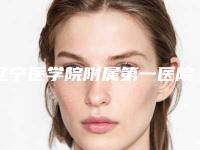 辽宁医学院附属第一医院整形外科价格(价目)表一览价目（格）表2025附上颌骨全切术案例