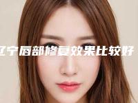 辽宁唇部修复效果比较好的医院！沈阳和平元辰医疗美容门诊部等品牌机构实力强劲