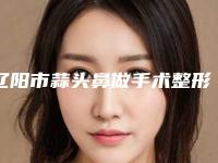 辽阳市蒜头鼻做手术整形医生(张翠萍医生整形科实力每家对比)