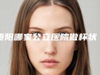 贵阳哪家公立医院做杯状耳矫正最好？