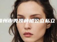 赣州市秃顶种植公立私立医美占比几比几-赣州红俏医疗美容门诊部详版简介