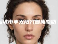 运城市丰太阳穴自体脂肪填充医院整形-运城光子医疗美容门诊部榜上有名