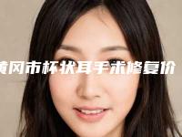 黄冈市杯状耳手术修复价格表(费用)大全详细一览(近6个月均价为：6972元)