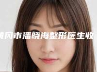 黄冈市潘晓海整形医生收费明细全览