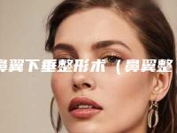 鼻翼下垂整形术（鼻翼整形手术）