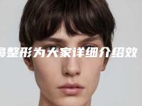 鼻整形为大家详细介绍效果 逼真小巧精致马上展现