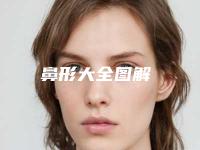 鼻形大全图解