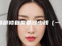 鼻部修复需要多少钱（一般修复鼻子要多少钱）
