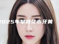 2025年攀枝花市牙黄变白医院这几家不容错过-攀枝花市牙黄变白口腔医院