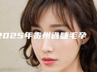2025年贵州省睫毛孕睫整形整形医院上榜清单前十王牌推荐