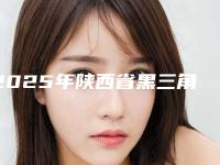 2025年陕西省黑三角牙齿修复医院排名前十排行一览-陕西省黑三角牙齿修复口腔医院